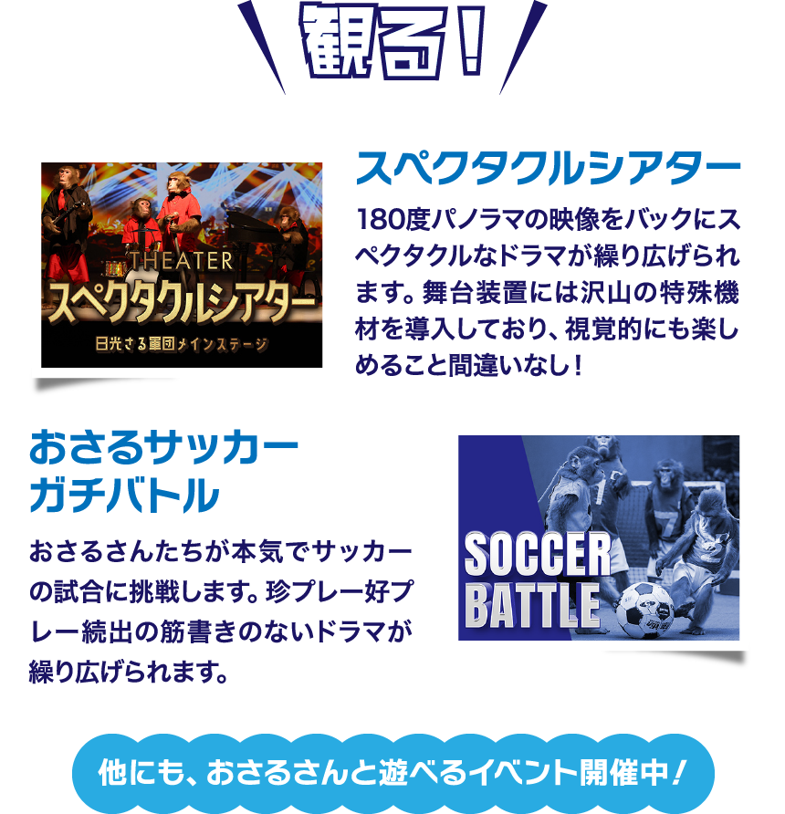 もちろんいつもの観るも！「スペクタクルシアター」「おさるサッカーガチバトル」他にも、おさるさんと遊べるイベント開催中！