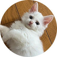ゆきち