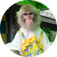 キャサリン