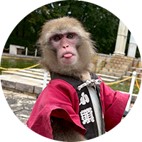 こはく