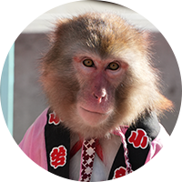 さき