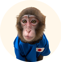 凛太郎