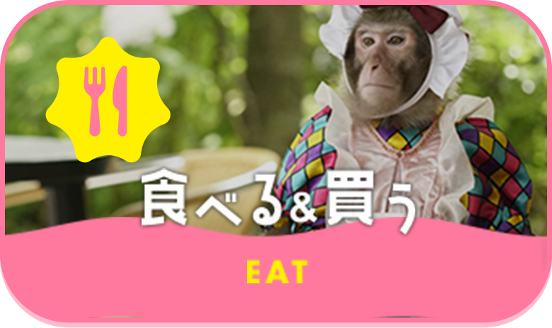 おさるランド 日光さる軍団 おさるのエンターテイメントパーク 栃木県 おさるランド 日光さる軍団 おさるのエンターテイメントパーク 栃木県