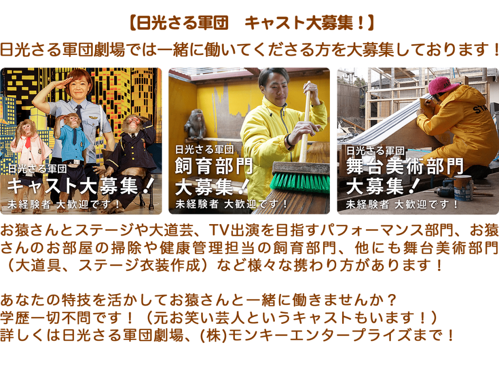 ルッキィでございます おさるランド 日光さる軍団 ルッキィでございます おさるランド 日光さる軍団