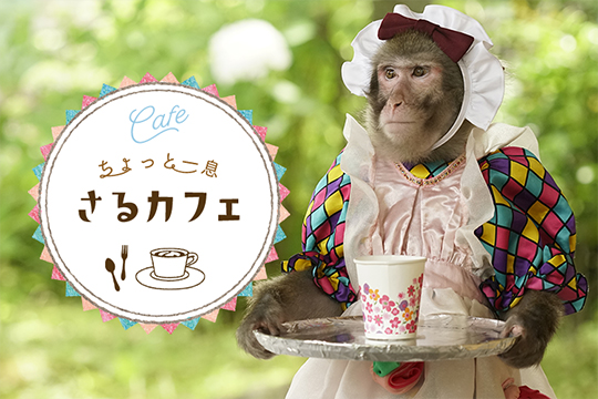 おさるランドのテーマ 食べる 買う おさるランド 日光さる軍団